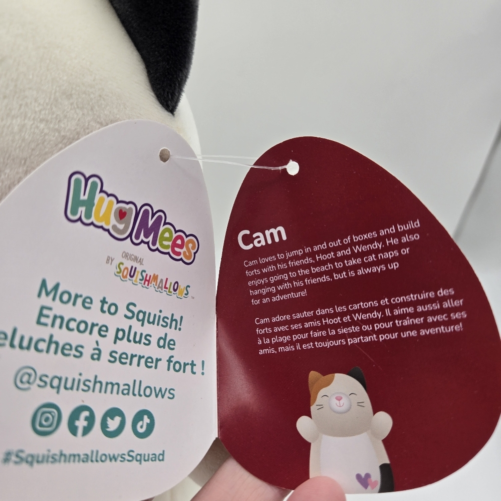 NEW Squishmallows Hug Mees Cam Calico Cat Valentines Plush Stuffed Animal 12" - Picture 13 of 14